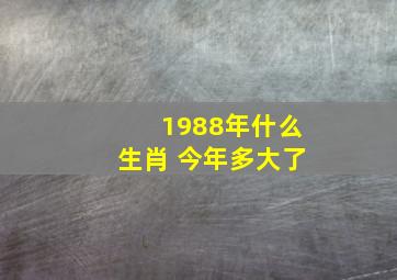 1988年什么生肖 今年多大了